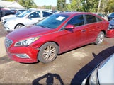 Hyundai Sonata Se 5NPE24AF1GH371952 снимка