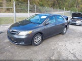 Toyota Corolla Le JTDBU4EE1BJ088353 снимка