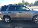 Ford Escape Xlt 1FMCU0D76AKC62342 снимка