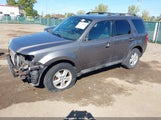 Ford Escape Xlt 1FMCU0D76AKC62342 снимка