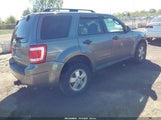 Ford Escape Xlt 1FMCU0D76AKC62342 fotografie