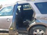 Ford Escape Xlt 1FMCU0D76AKC62342 fotografie
