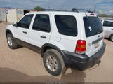 Ford Escape Xlt 1FMYU93105KA15847 снимка