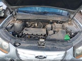 Hyundai Santa Fe Gls 5NMSGDAB0AH364111 снимка