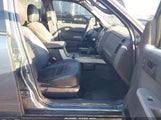 Ford Escape Xlt 1FMCU0DG0BKB77448 fotografie