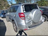 Toyota Rav4 Limited JTMZF31V295013303 photo