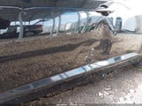 Kia Optima Lx 5XXGM4A78DG104102 снимка