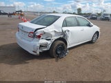 Toyota Corolla Le 2T1BU4EE0CC916907 fotografie