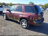 Chevrolet Trailblazer Ls 1GNDT13S962119956 снимка