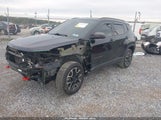 Jeep Compass Trailhawk 4X4 3C4NJDDB2LT170387 снимка