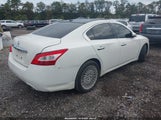 Nissan Maxima 3.5 Sv 1N4AA5AP1AC811564 снимка