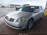 Nissan Maxima 3.5 Sl 1N4BA41E15C863764 снимка