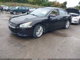 Nissan Maxima 3.5 Sv 1N4AA5AP5BC851924 снимка