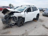 Toyota Rav4 Hybrid Xle 4T3RWRFV6MU049427 photo