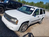 Chevrolet Trailblazer Ls 1GNDS13S252310586 снимка
