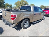 Ford F-150 Xlt 1FTFW1CTXDFA16021 снимка