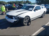 Ford Mustang V6/V6 Premium 1ZVBP8AN7A5107013 fotografie