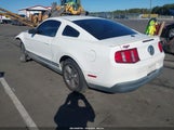 Ford Mustang V6/V6 Premium 1ZVBP8AN7A5107013 fotografie