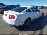 Ford Mustang V6/V6 Premium 1ZVBP8AN7A5107013 fotografie