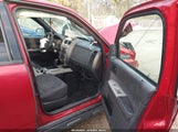 Ford Escape Xlt 1FMCU0D70CKA73978 fotografie