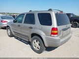 Ford Escape Xlt 1FMYU03131KA15458 снимка