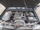 Chevrolet Trailblazer Fleet 1GNDT13S382130454 photo