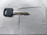 Miniaturka zdjęcia 11
