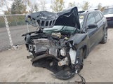 Jeep Cherokee Limited 4X4 1C4PJMDX9MD228491 снимка
