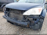 Honda Cr-V Lx 5J6RE4H36AL030841 fotografie