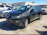 Lexus Rx 350 2T2ZK1BA5FC159622 fotografie