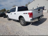 Ford F-150 Xlt 1FTEW1E87FKD72134 fotografie
