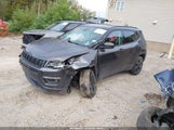 Jeep Compass Altitude 4X4 3C4NJDBB4KT813453 снимка