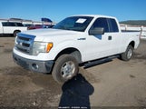 Ford F-150 Xlt 1FTEX1EM4DKG13414 снимка