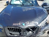 BMW X3 xDrive30I 5UX53DP07P9R38592 photo