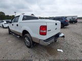 Ford F-150 Fx2/Xlt 1FTRW12WX7KC43438 fotografie