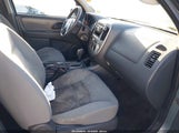 Ford Escape Xlt/Xlt Sport 1FMYU03196KB88599 fotografie
