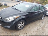 Miniaturka zdjęcia 2