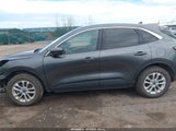 Ford Escape Se 1FMCU9G60LUB61361 снимка
