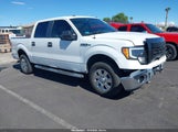 Ford F-150 Fx4/Harley-Davidson/King Ranch/Lariat/Platinum/Xl/Xlt 1FTFW1EV8AFA94324 fotografie