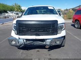 Ford F-150 Fx4/Harley-Davidson/King Ranch/Lariat/Platinum/Xl/Xlt 1FTFW1EV8AFA94324 fotografie