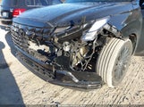 Hyundai Palisade Calligraphy Night Edition KM8R7DGE2RU722731 снимка