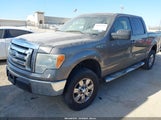 Ford F-150 Xl/Xlt 1FTRW128X9KB75209 fotografie