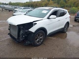Hyundai Santa Fe Sport 5XYZU3LB5DG101528 снимка