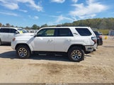 Toyota 4Runner Trd Off Road Premium JTEBU5JR5K5638057 fotografie