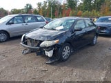 Toyota Corolla Le JTDBU4EE1BJ092001 снимка