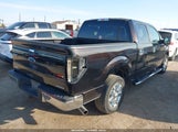 Ford F-150 Xlt 1FTFW1CFXDKG07404 снимка