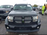 Dodge Nitro Heat 1D4PT4GK8BW519885 снимка