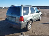 Ford Escape Xlt/Xlt Sport 1FMYU93127KB19016 fotografie