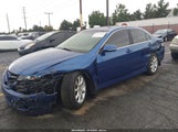 Acura Tsx JH4CL96816C016851 снимка