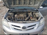 Toyota Corolla Le 2T1BU4EE2CC802326 fotografie